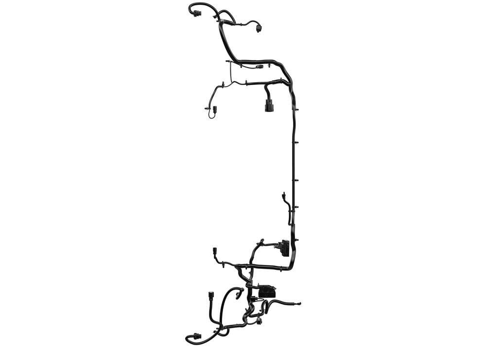 Alternate Image