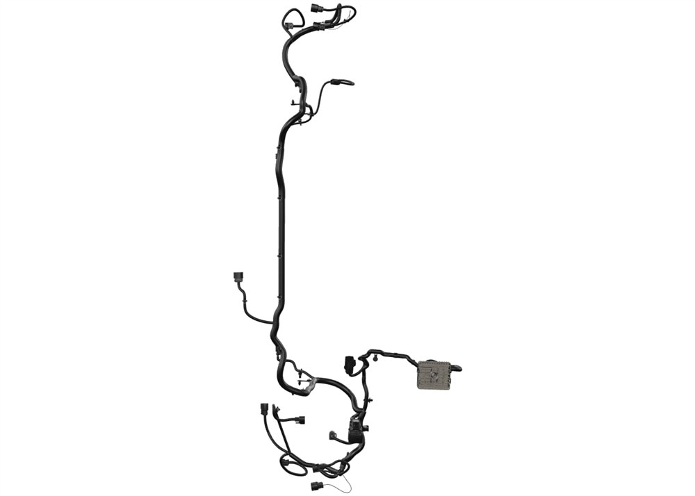Alternate Image