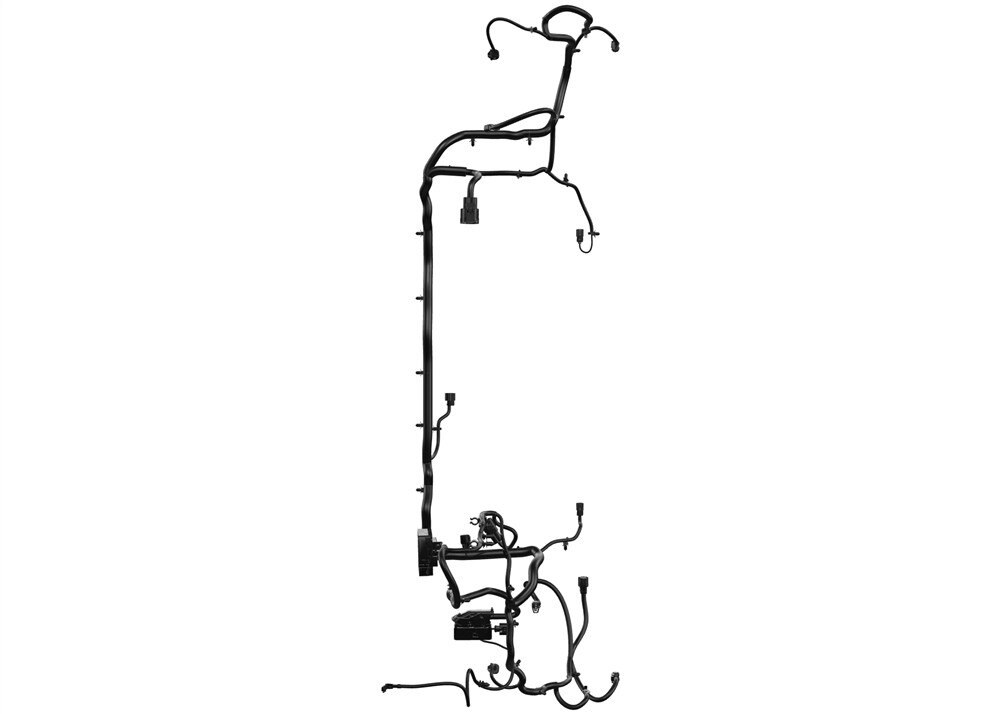 Alternate Image