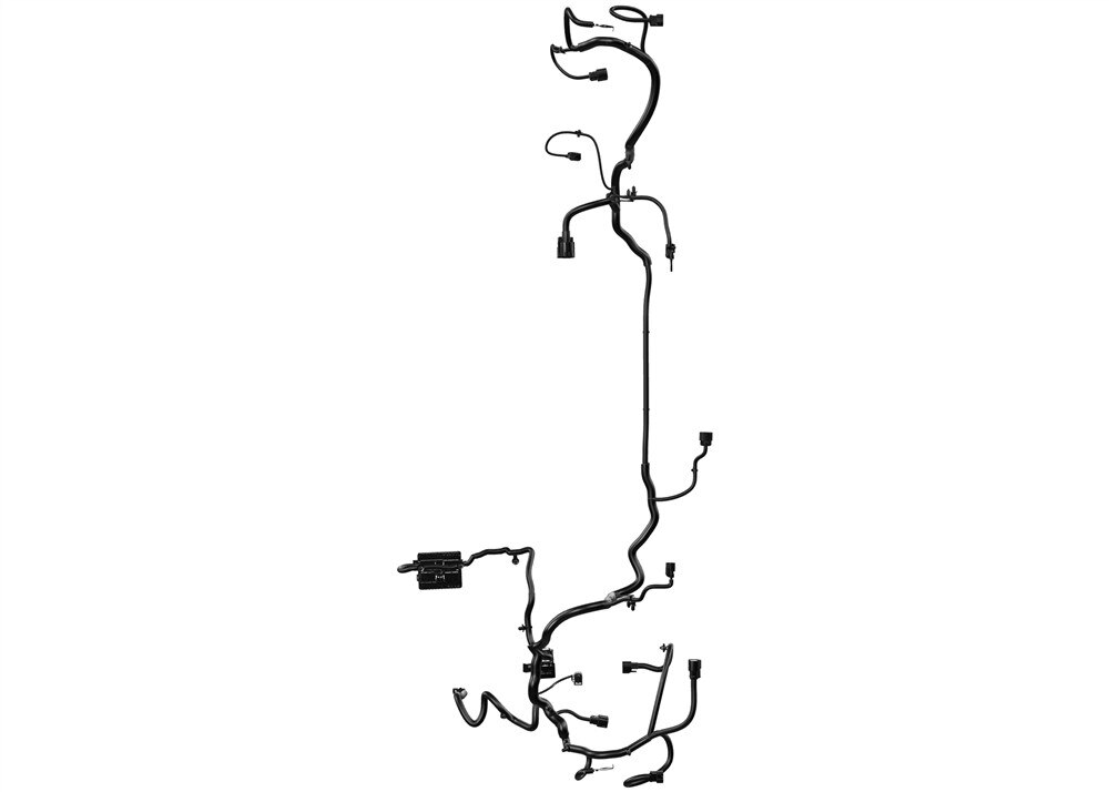Alternate Image