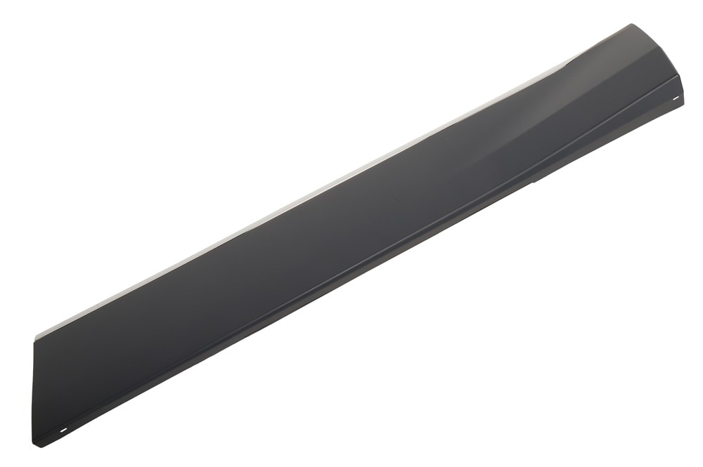 GM Genuine Parts Passenger Side Door Molding