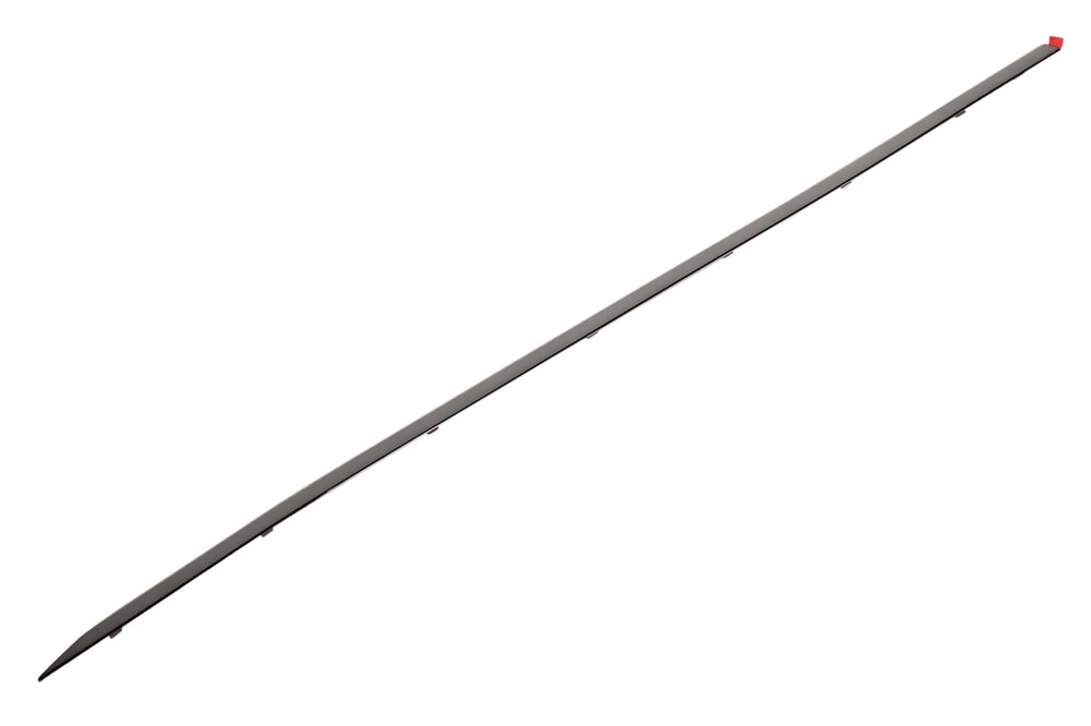 GM Genuine Parts Front Passenger Side Door Molding Insert