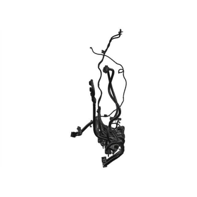 Alternate Image