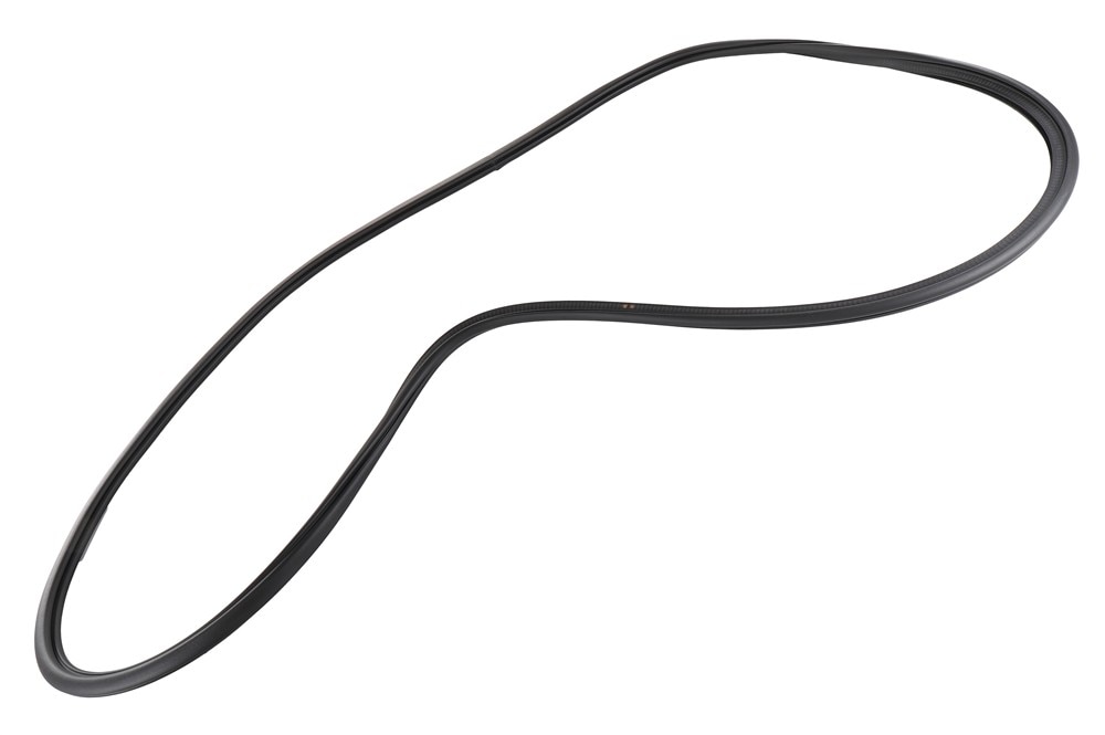 GM Genuine Parts Rear Driver Side Door Weatherstrip