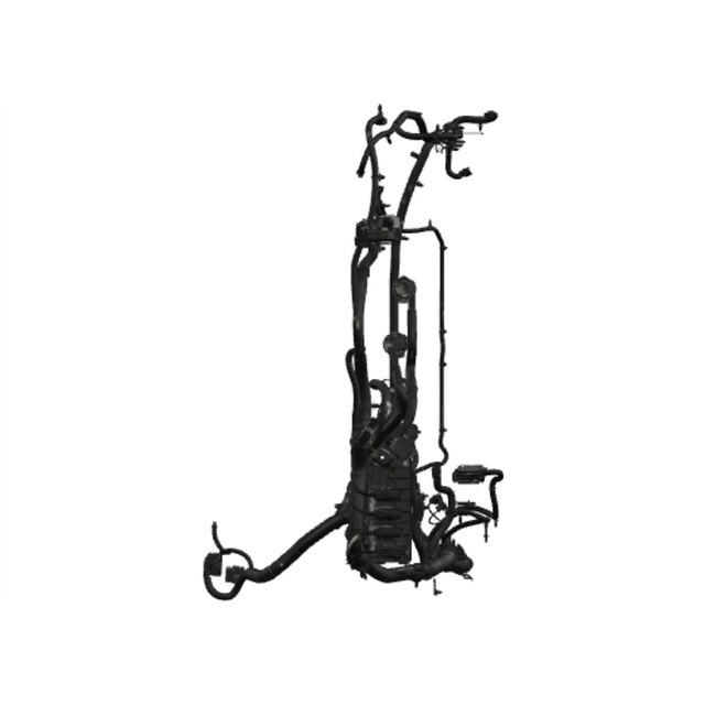 Alternate Image