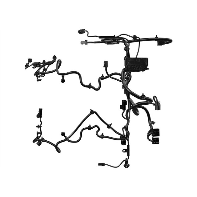 Alternate Image