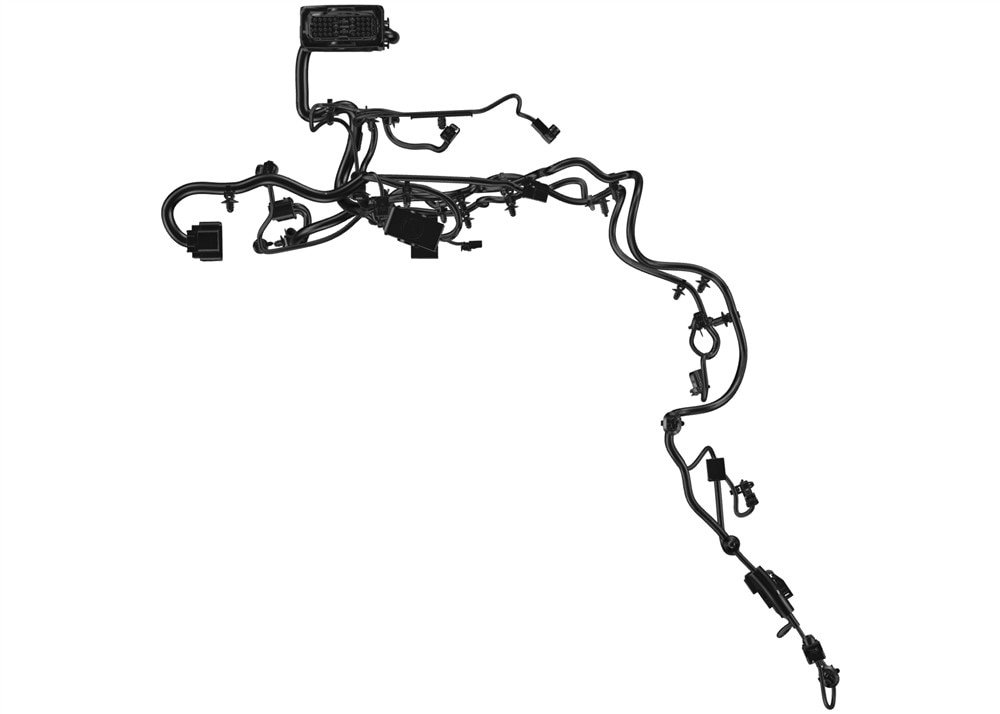Alternate Image
