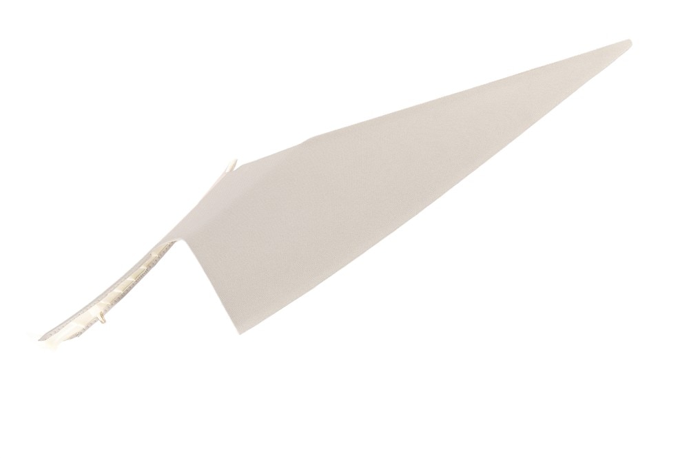 GM Genuine Parts Shale Body Driver Side Rear Window Garnish Molding