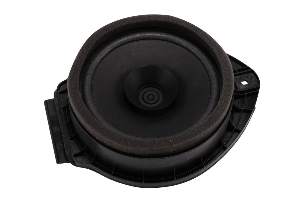 GM Genuine Parts Radio Rear Side Door Speaker