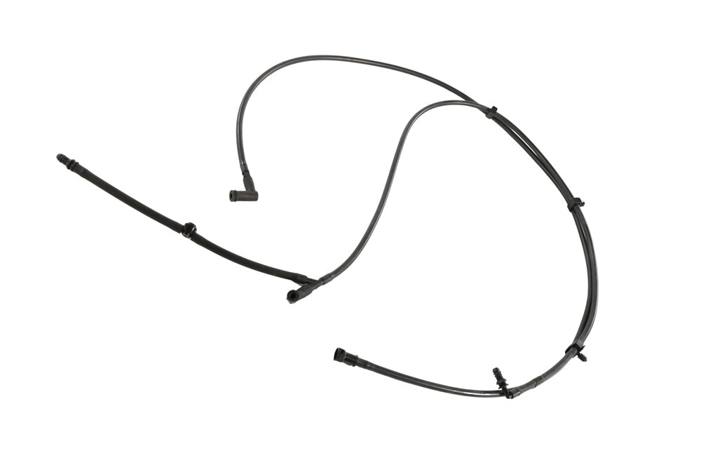 Alternate Image