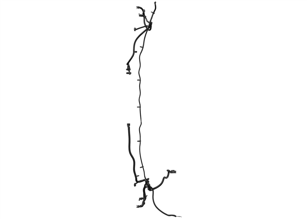 Alternate Image
