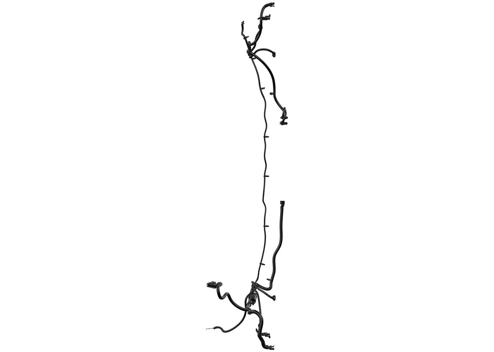 Alternate Image