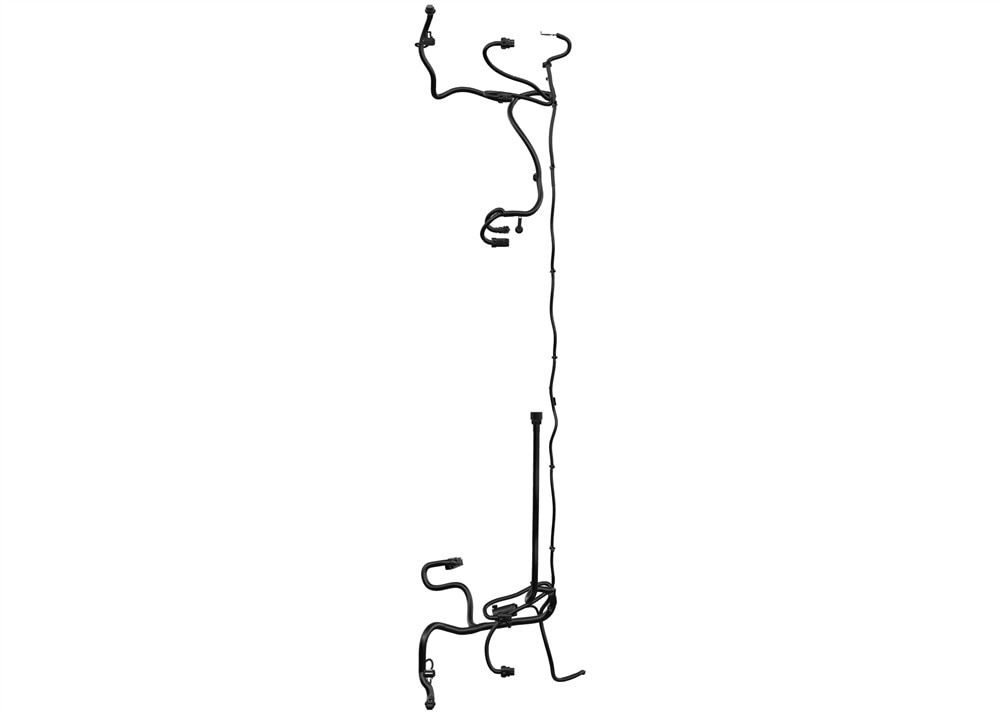 Alternate Image