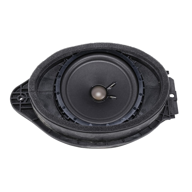 GM Genuine Parts Radio Front Side Door Speaker