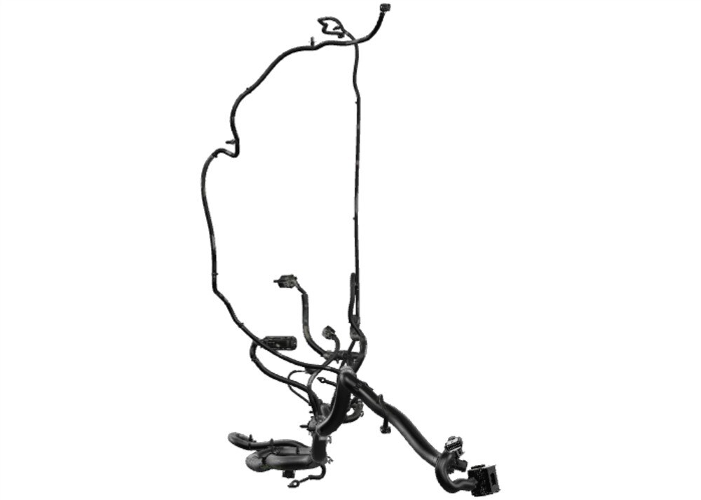 Alternate Image