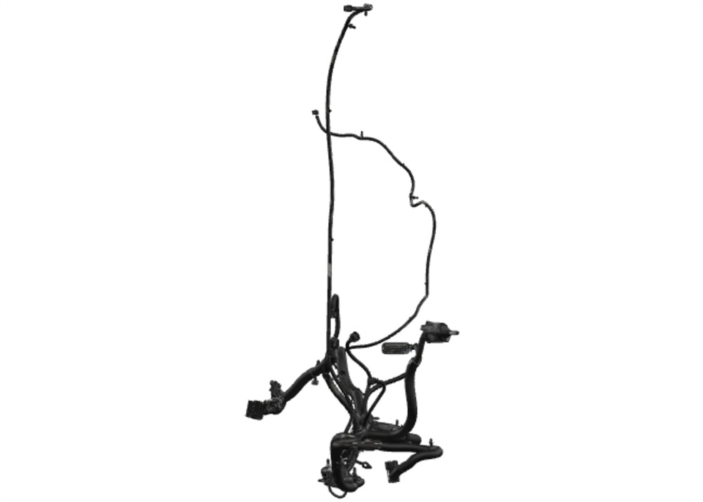 Alternate Image