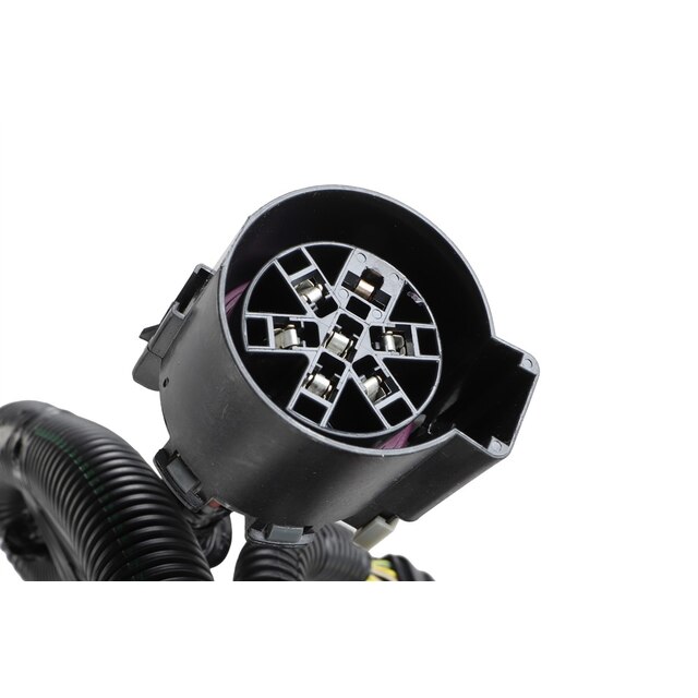 Alternate Image