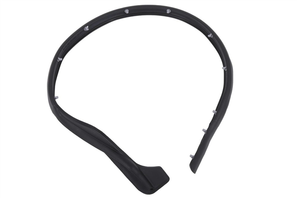 GM Genuine Parts Passenger Side Door Seal