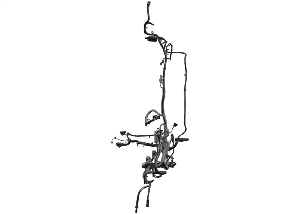Alternate Image