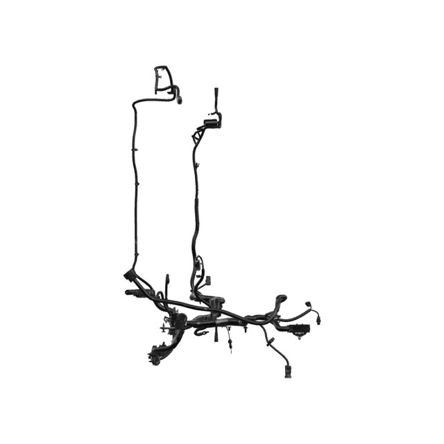 Alternate Image