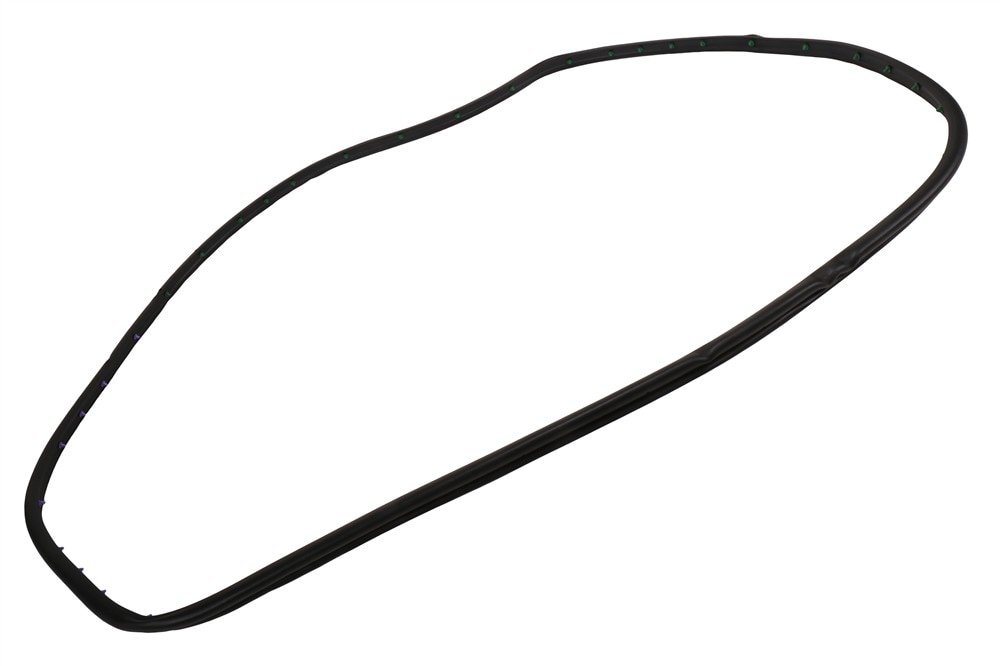 GM Genuine Parts Rear Driver Side Door Weatherstrip