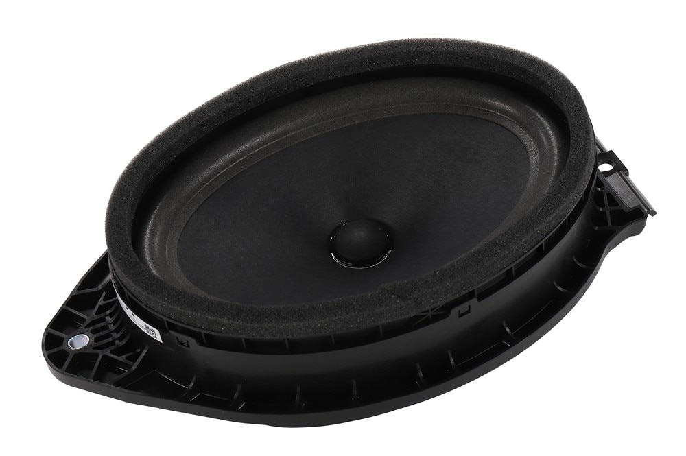 GM Genuine Parts Front Side Door Radio Speaker
