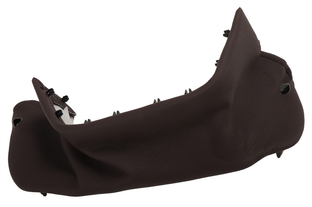 GM Genuine Parts Bittersweet Instrument Panel Cluster Trim Plate