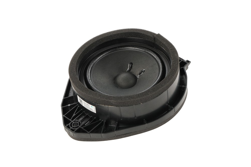 GM Genuine Parts Radio Rear Side Door Speaker