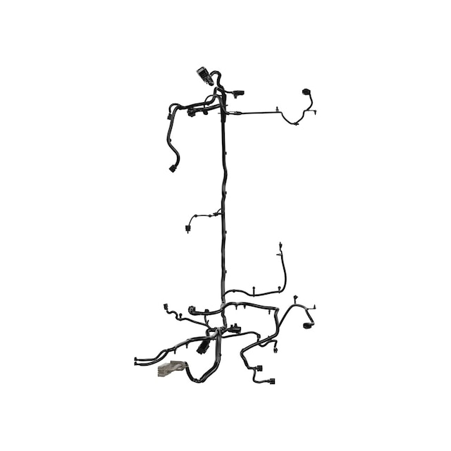 Alternate Image