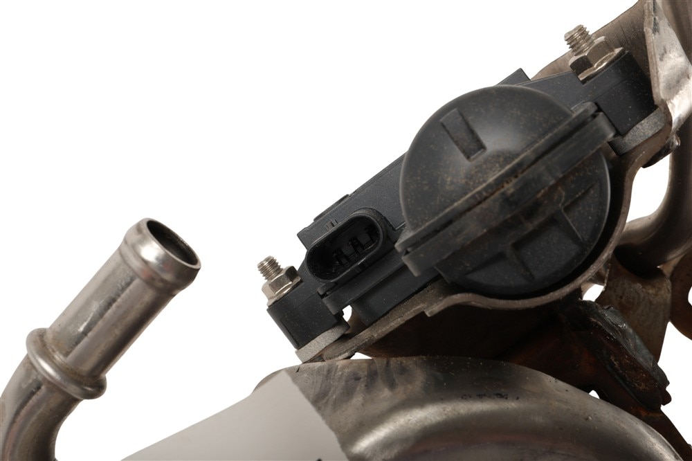 Alternate Image