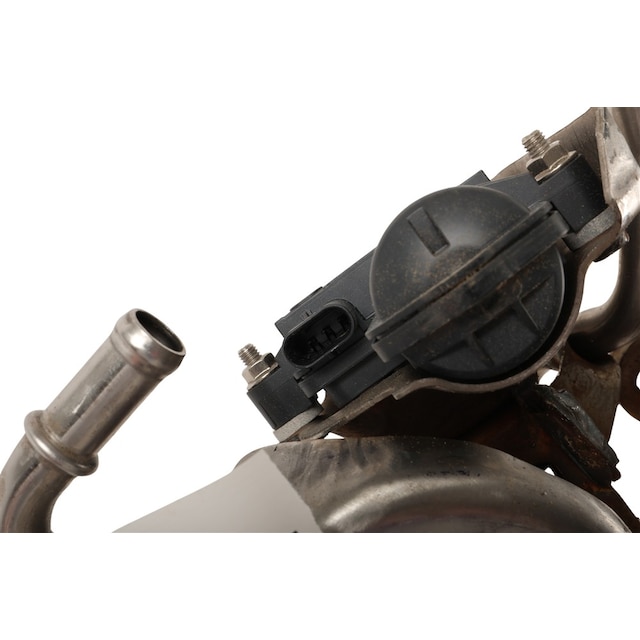 Alternate Image