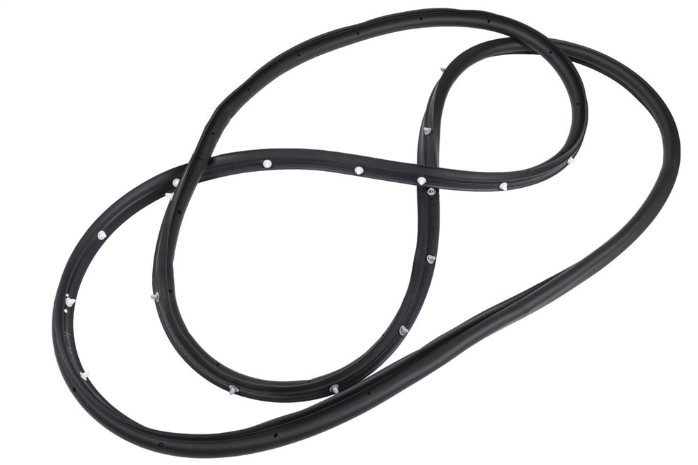 GM Genuine Parts Passenger Side Door Seal