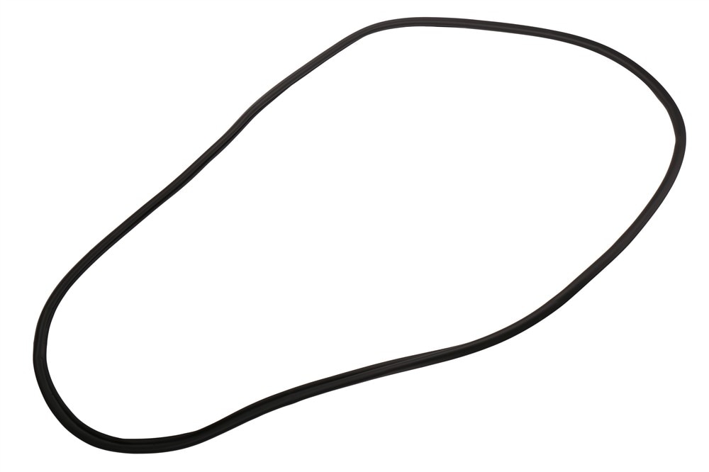 GM Genuine Parts Driver Side Door Seal