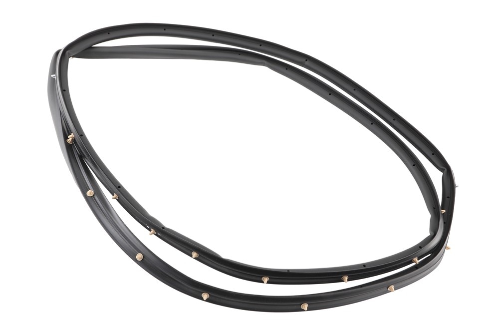 GM Genuine Parts Passenger Side Door Seal