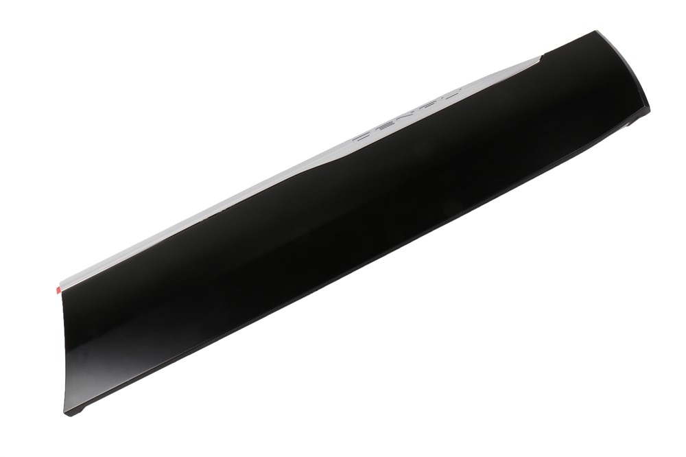 GM Genuine Parts Front Passenger Side Door Lower Molding