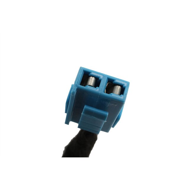 Alternate Image