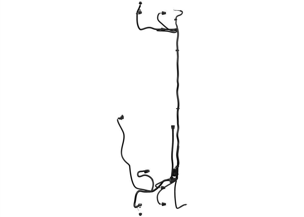 Alternate Image