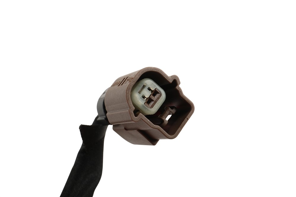 Alternate Image