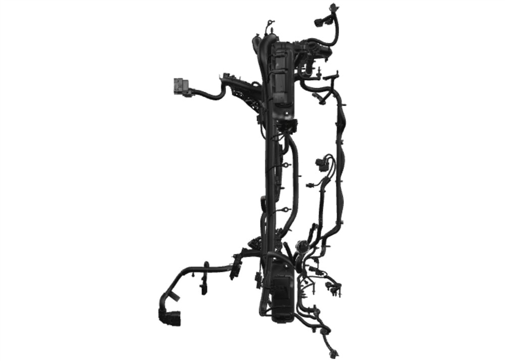 Alternate Image