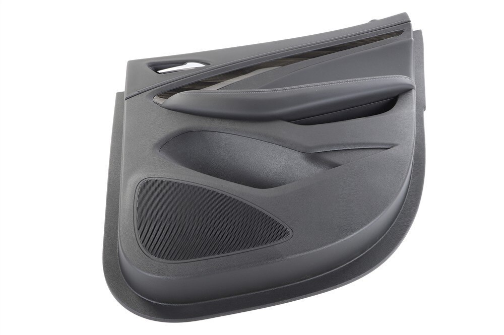 GM Genuine Parts Black Rear Passenger Side Door Trim