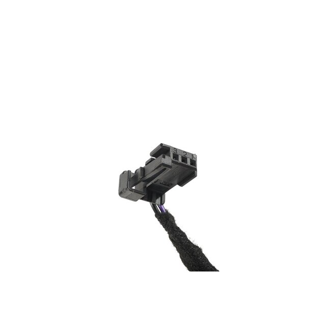 Alternate Image