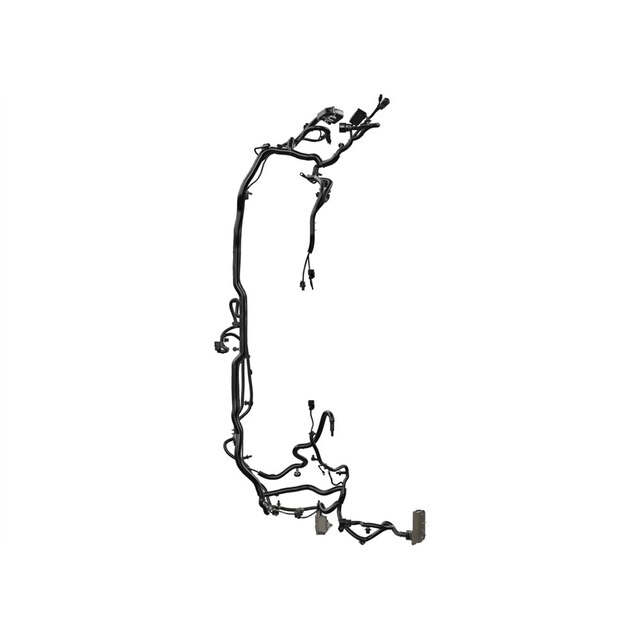 Alternate Image