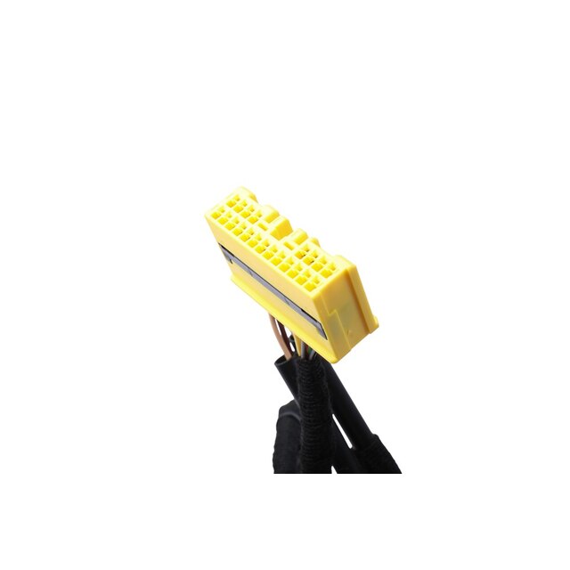 Alternate Image