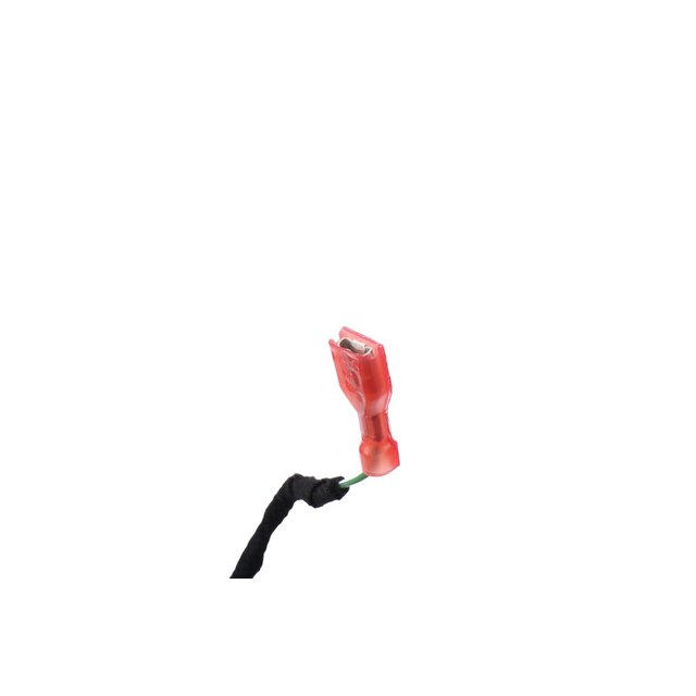 Alternate Image