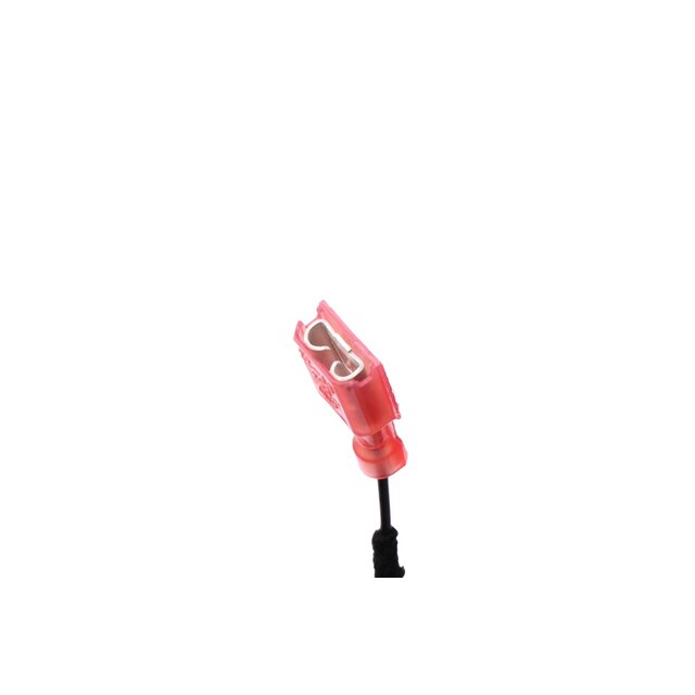 Alternate Image