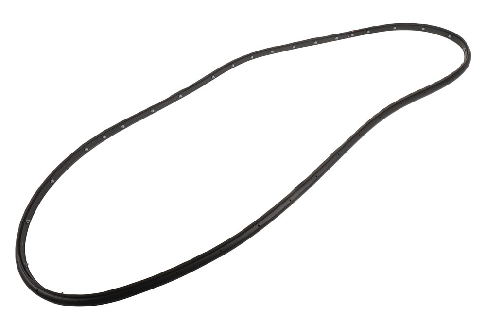 GM Genuine Parts Front Passenger Side Door Weatherstrip