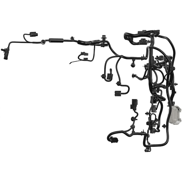 Alternate Image