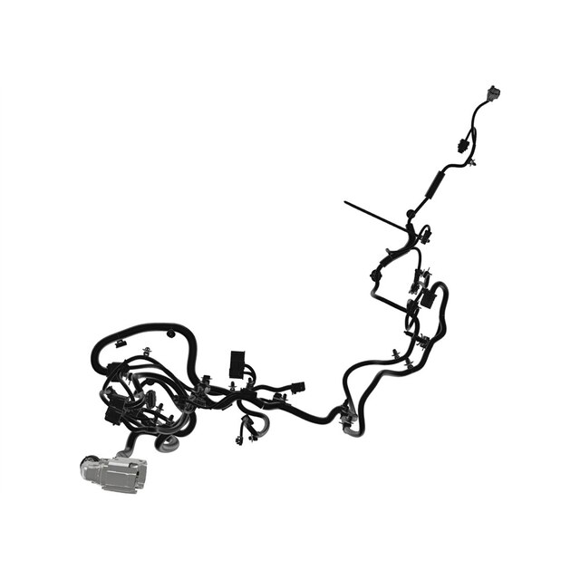 Alternate Image