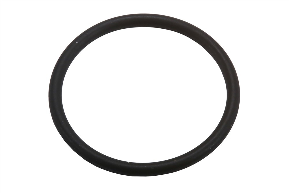 GM Genuine Parts Limited Slip Differential Clutch Motor Seal