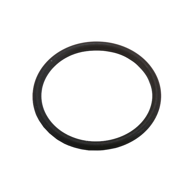 GM Genuine Parts Limited Slip Differential Clutch Motor Seal